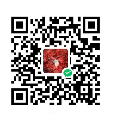 Huanhuan's WeChat Pay QR code
